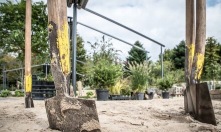Verzuim verminderen met de 5 W’s