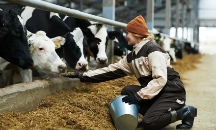 Werk jij in de agrosector? Verzeker je voordelig