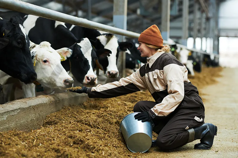 Werk jij in de agrosector? Verzeker je voordelig